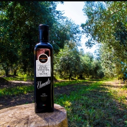 Extra Virgin Olive Oil - Elemento - Corte Tomasin