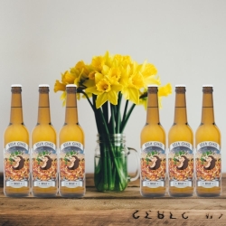 Mosaic Birra artigianale -...