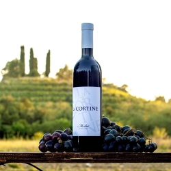 Merlot - La Cortine