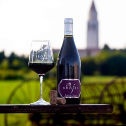 Cabernet Franc 2024 - Vini Brojli Aquileia
