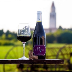 Merlot 2024 - Vini Brojli Aquileia