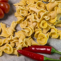 Friulian lily pasta - Tissi - Centro Dolce Friuli Srl