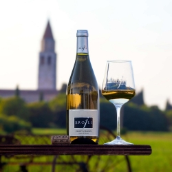 Pinot Grigio Campo di Beligna 2024 - Vini Brojli Aquileia