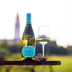 Friulano 2024 - Vini Brojli Aquileia