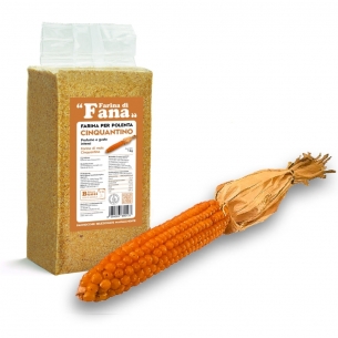Farina “Cinquantino” di mais - Azienda Agricola Buosi Ettore S.s.a
