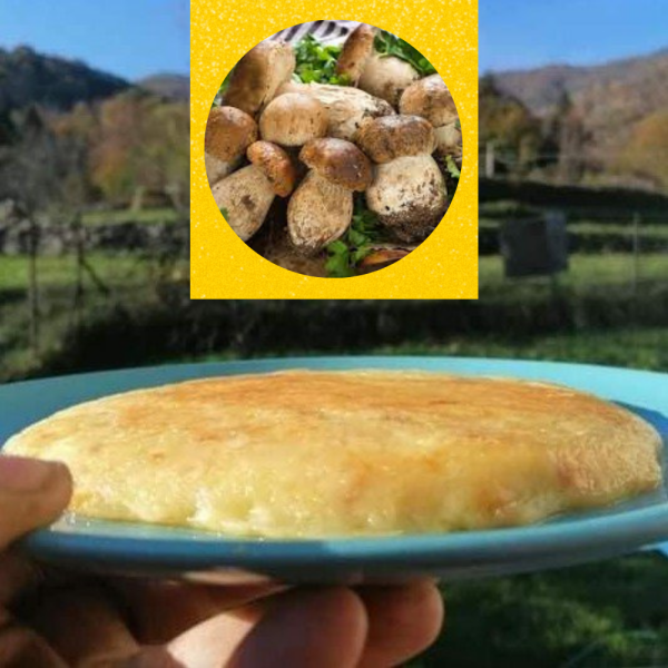Frico aromatizzato ai Funghi porcini - Bottega del Frico-Bottega del Friuli