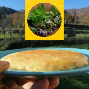 Frico aromatizzato al Tarassaco - Bottega del Frico-Bottega del Friuli