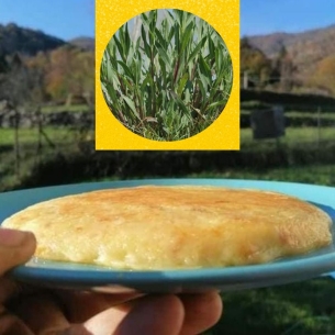 Frico aromatizzato all'erba Cipollina - Bottega del Frico-Bottega del Friuli