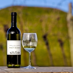 Pinot Bianco DOC Friuli 2024 - Roselli Della Rovere