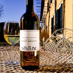 Pinot Grigio DOC Friuli 2024 - Roselli Della Rovere