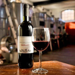 Merlot DOC Friuli 2024 - Roselli Della Rovere