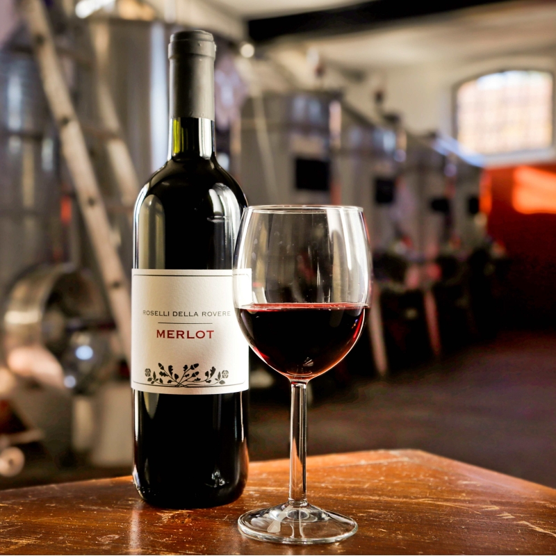Merlot DOC Friuli 2024 - Roselli Della Rovere