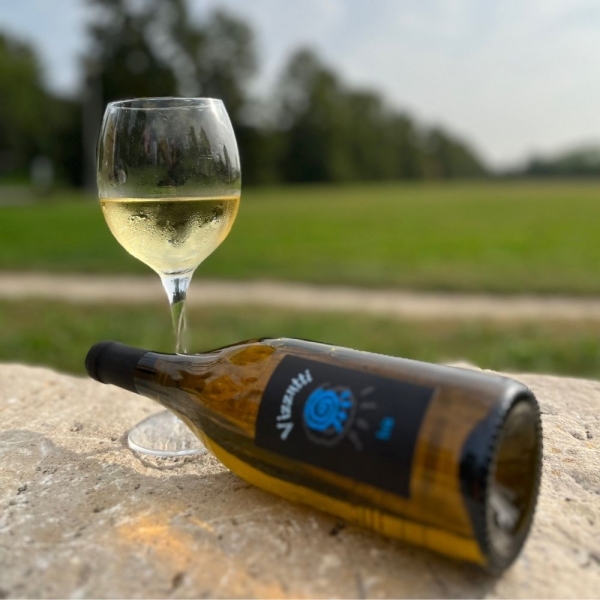 Vino Verduzzo IGT "Iris" -Confezione da 6 Bottiglie - Cantina Vizzutti-Bottega del Friuli