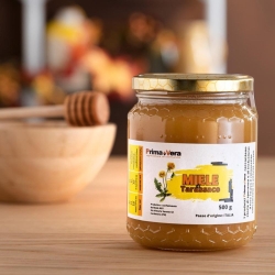 Dandelion Honey – PrimaVera 500 gr