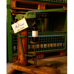 Malvasia DOC Friuli 2024 - Roselli della Rovere