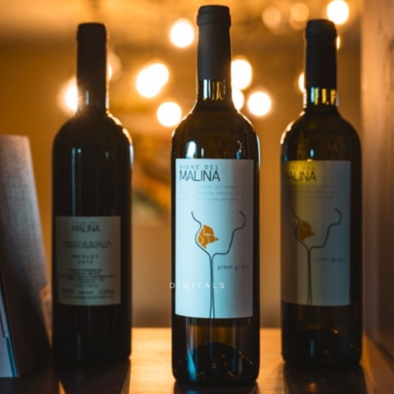 Pinot Grigio 2018 DOC Friuli - biologico - Vigne del Malina-Bottega del Friuli