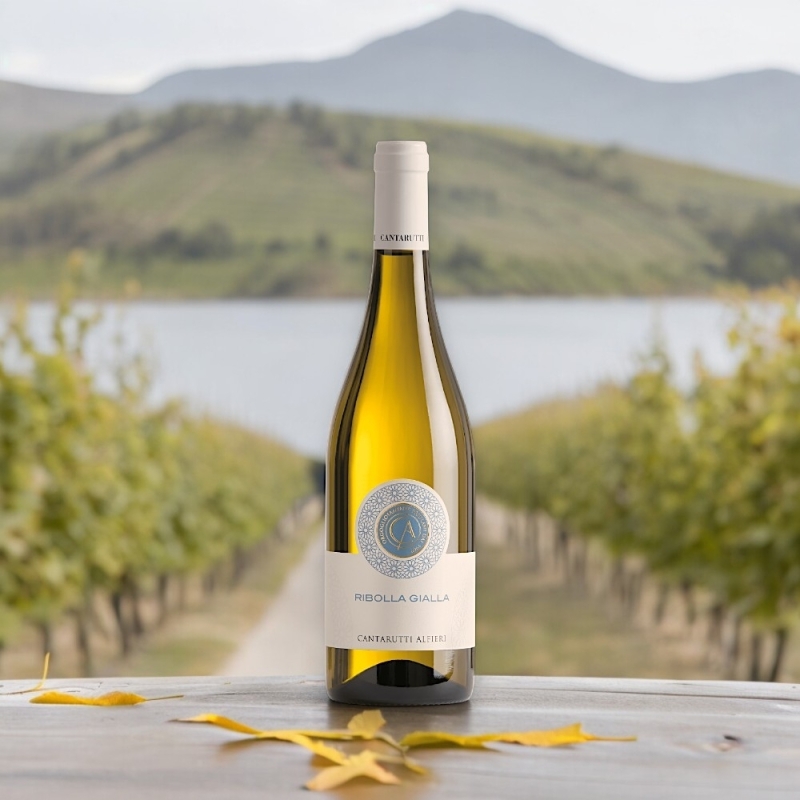 Vini Bianchi - Bottega del Friuli