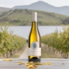Ribolla gialla Friuli colli orientali 2024 - Azienda Cantarutti - Vini Bianchi - Bottega del Friuli
