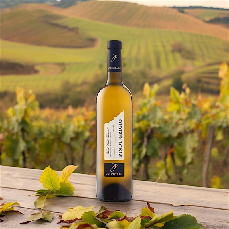 Pinot Grigio - Valchiarò Wines