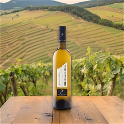 Ribolla Gialla - Valchiarò Vini