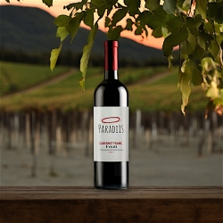 Cabernet Sauvignon 2020 – Paradiis