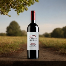 Refosco dal peduncolo rosso DOC - Paradiis