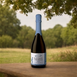 Prosecco DOC Extra Dry - Paradiis