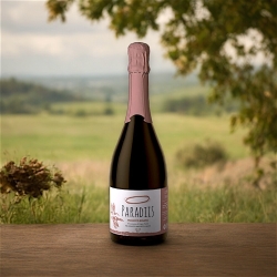 Prosecco Rosè Doc Brut Millesimato - Paradiis