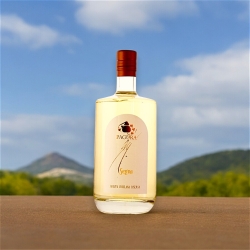 Grappa Friulana Riserva - Brennerei Pagura