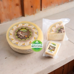 Formaggio Montasio Dop fresco casello PN208 - Del Ben