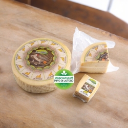 Montasio Dop cheese mezzano toll booth PN208 - Del Ben