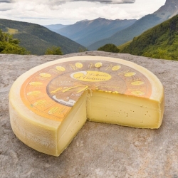 Mezzano dairy cheese - Latteria Di Aviano