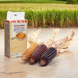 Stone ground corn flour - Buosi Ettore Ssa Farm