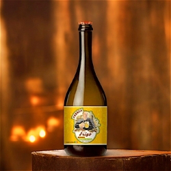 GLUTEN FREE Blonde Beer - Fresh from the fridge - Tal Frigo