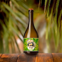 APA Beer - Tropical Fresh from the Fridge - Tal Frigo