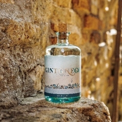 Gintonego - gin with sea wormwood - Alimentari Tomadin