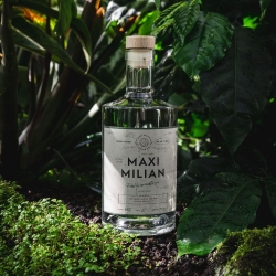 Gin - Maxi Milian