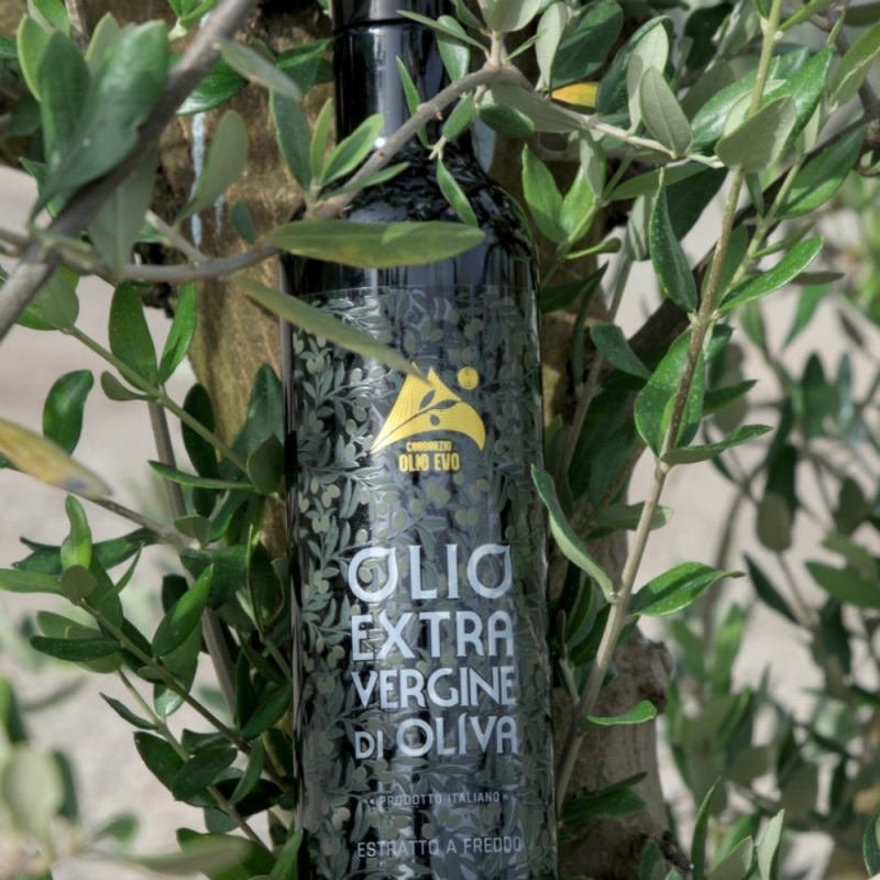 Olio Extravergine di Oliva Blend lt. 0,50 - Consorzio Olio FVG