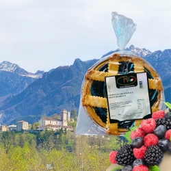 Crostata ai frutti di bosco - Petris - Centro Dolce Friuli