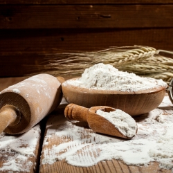 Semi-processed flour for pizza - Tissi