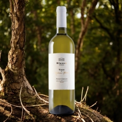 Pinot Grigio Copper - Vale - Blason Wines