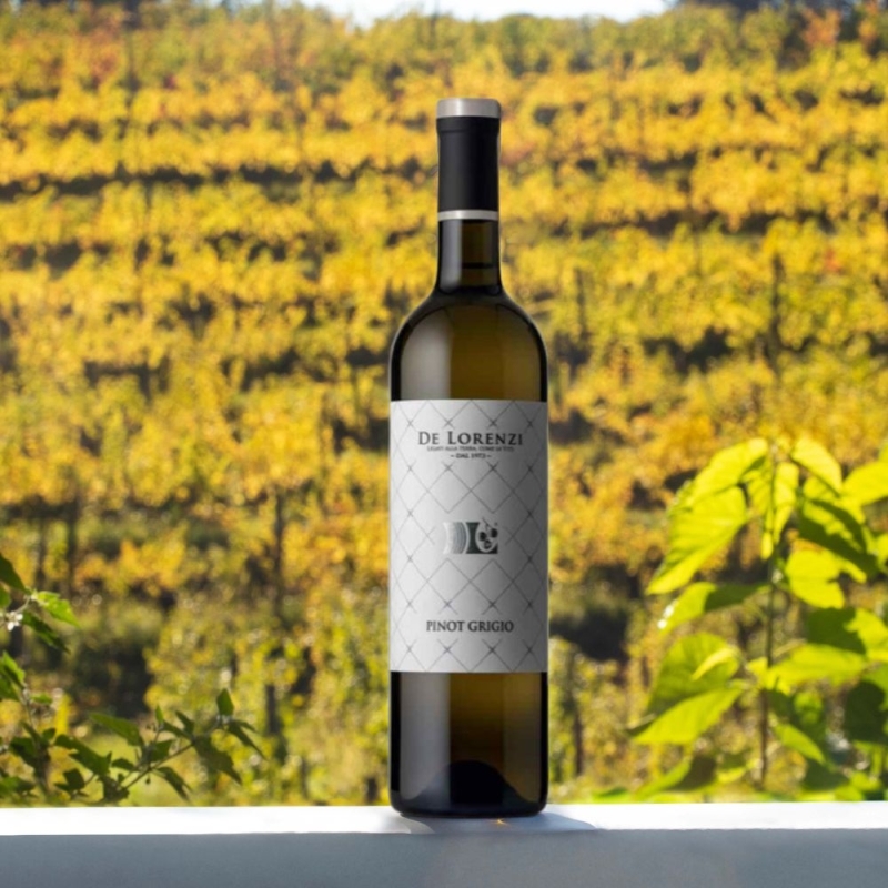 Pinot Grigio Doc 2023 - Vini De Lorenzi