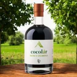 Cocolàr – Nocino di Spilimbergo – Liquoreria Friulana