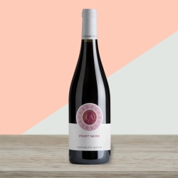 Pinot Noir - Julisch Venetien 2020 - Cantarutti Alfieri