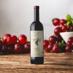 Merlot IGT Tre Venezie 2023 - Katia Toti