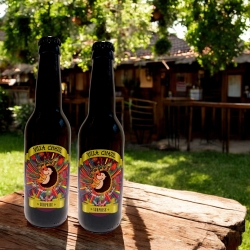 Surprise IGA Craft Beer - 2 Bottles - Villa Chazil