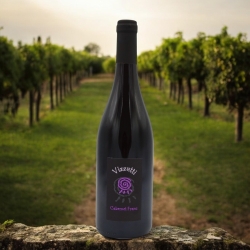 Cabernet Franc - Cantina Vizzuti