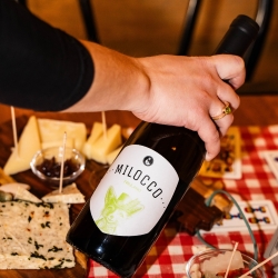 Doc Friuli Grave Friulano 2024