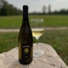 I Magnifici 6 Vini di Agosto - Cantina Vizzutti - Vini Rossi - Bottega del Friuli