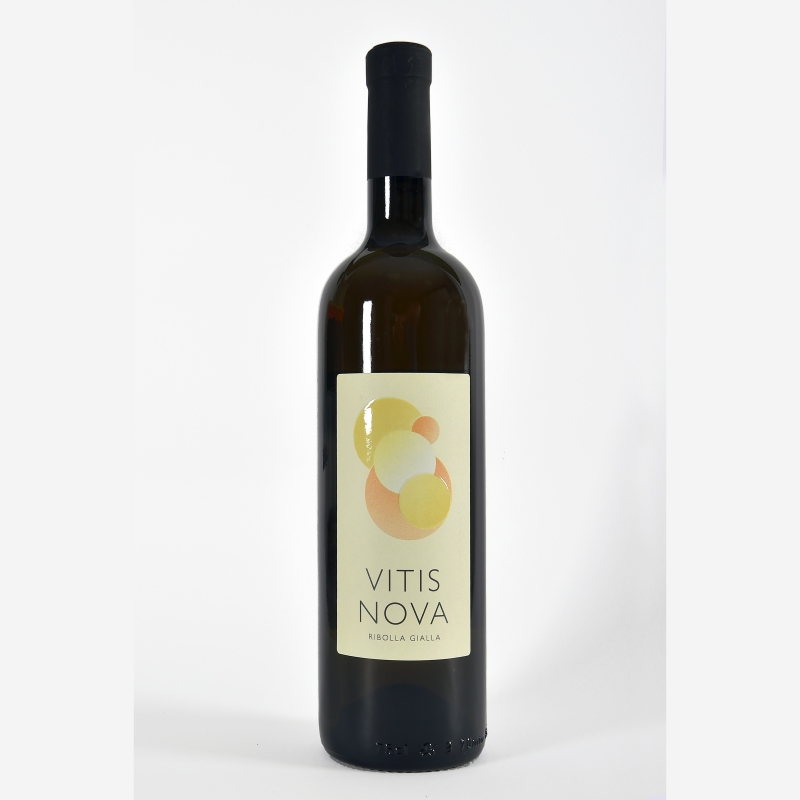 Ribolla gialla DOC Friuli Colli Orientali 2024 - VitisNova